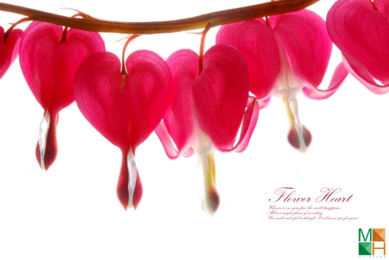 Tranh dán tường trang trí phòng ngủ FW - 099